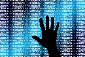Public do not believe the Government can secure personal data, survey finds